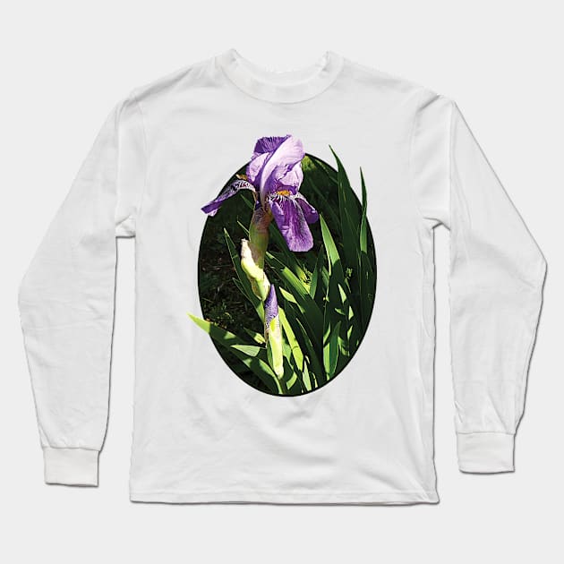 Irises - Purple Iris in Sunshine Long Sleeve T-Shirt by SusanSavad